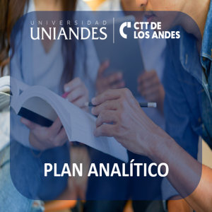 21. PLAN ANALÍTICO